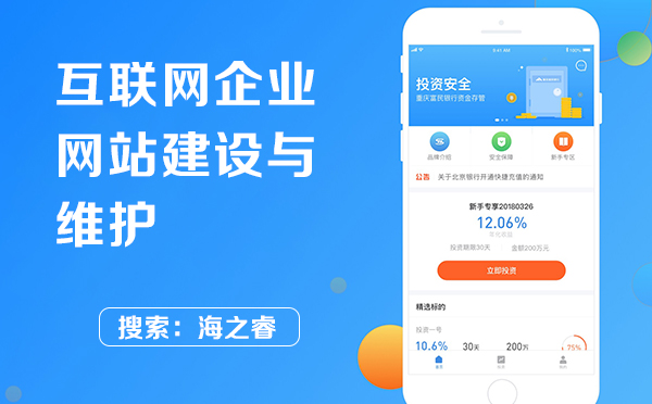 互聯(lián)網(wǎng)企業(yè)網(wǎng)站建設(shè)與維護